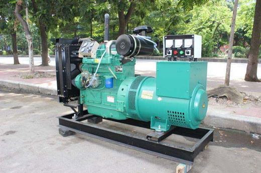 什运乡发电机不发电的原因